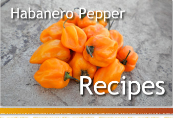 Habanero Recipes