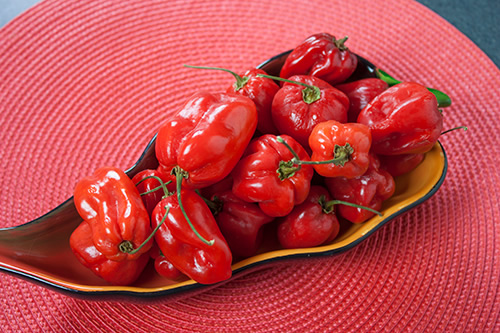 Types and Varieties of Habanero Peppers - Red Savina
